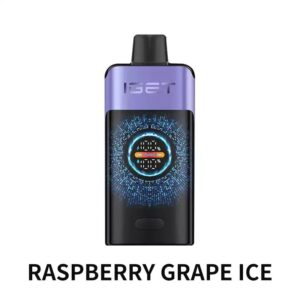 IGET ONE Raspberry Grape Ice