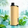 Alibarbar ingot 9000 Puffs Miami Mint